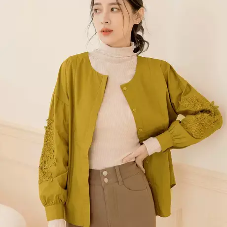 桔熊春秋通勤宽松立体蕾丝花泡泡袖圆领衬衫上衣女装大码AB17698图片