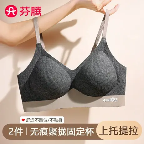 芬腾内衣女小胸聚拢显大提拉侧收副乳软支撑防下垂无痕文胸罩新款商品大图