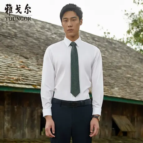 【200支】TP系雅戈尔衬衫秋季商务TNDP免烫装衬易打理长袖衬衫商品大图