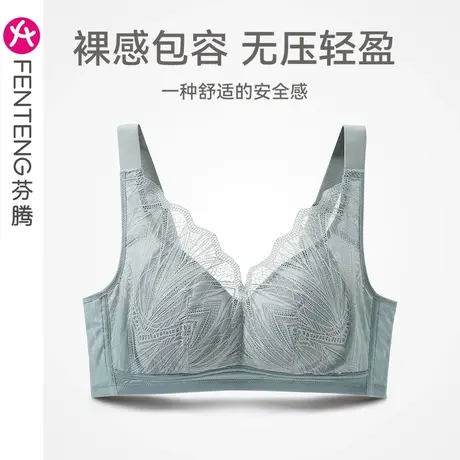 芬腾睡眠文胸女上托防下垂女款内衣性感蕾丝无钢圈舒适收副乳胸罩商品大图