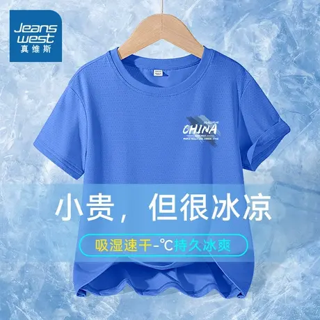 真维斯童装男童t恤2025新款短袖中大童蓝色轻薄半袖儿童网眼上衣图片