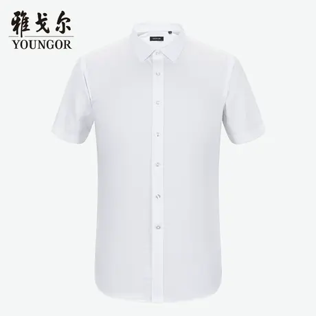 【商场同款】雅戈尔男士短袖衬衫春夏新款官方短袖衬衫男S2924图片