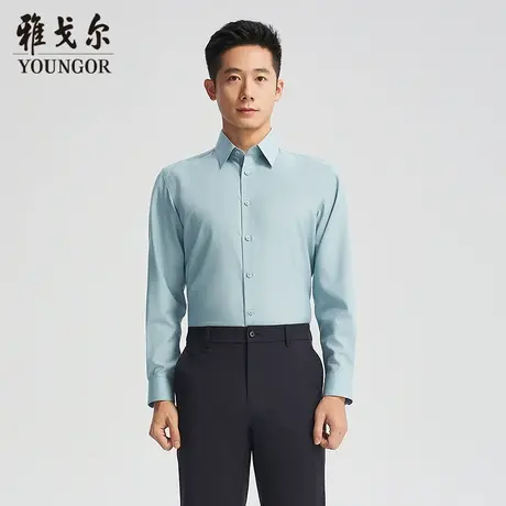 【商场同款】雅戈尔男士长袖衬衫春季新款官方商务休闲长袖衬衫男图片