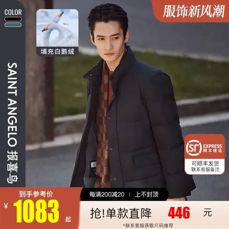 报喜鸟2023秋季新款男士商务休闲立领蓬松羽绒服白鹅绒保暖外套男图片