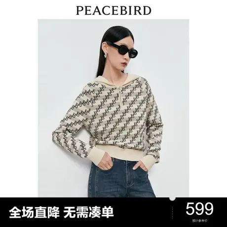 【商场同款】太平鸟女装2023年冬季新款老花连帽套头衫A1EED4249商品大图