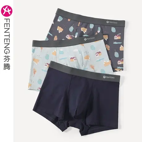 芬腾男士纯棉内裤夏季薄款透气运动平角裤大码青年打底裤四角裤衩图片