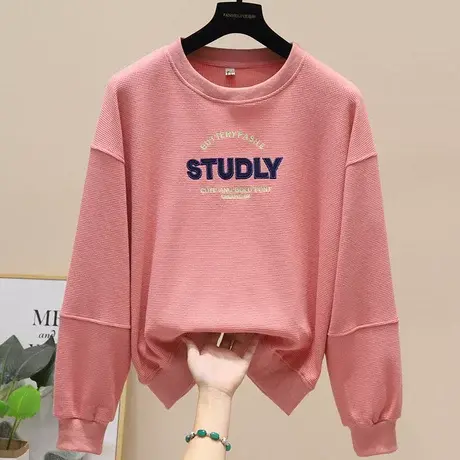 春秋卫衣女2023新款设计感小众字母刺绣韩版宽松圆领上衣女外穿潮图片