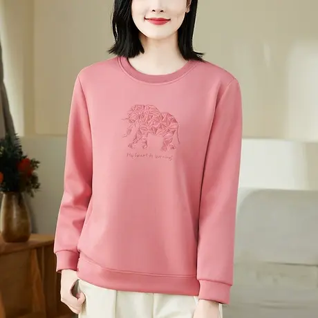 圆领正肩卫衣女春秋2023年新款时尚休闲运动上衣洋气百搭长袖t恤图片