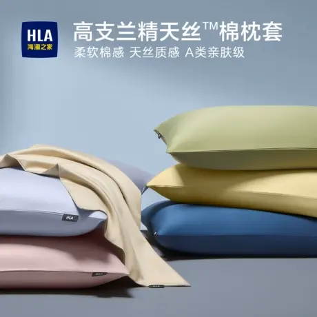 轻奢枕套一对装夏凉兰精天丝枕头内胆套长绒棉2025新款48cmx74cm图片