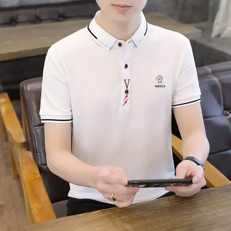 男士polo衫2023夏季商务衬衫领短袖T恤男修身翻领刺绣半袖体恤薄商品大图