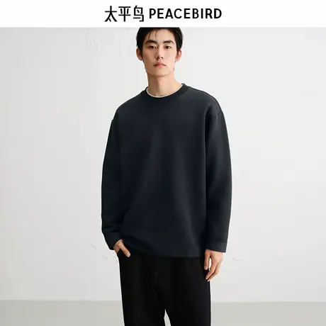 太平鸟男装 休闲卫衣2025秋季舒适亲肤圆领卫衣潮流男士卫衣商品大图