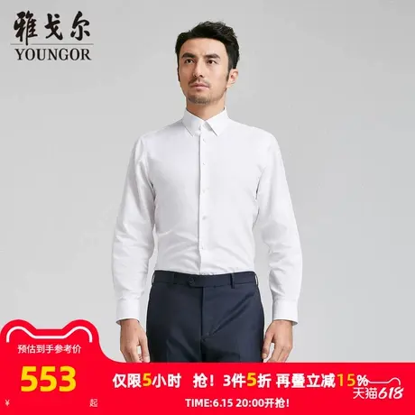 【商场同款】雅戈尔男士衬衫春秋新款官方商务休闲免烫长袖衬衫男商品大图
