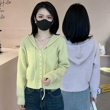 连帽毛衣女秋季2023新款高级感小众宽松百搭气质针织长袖休闲上衣图片