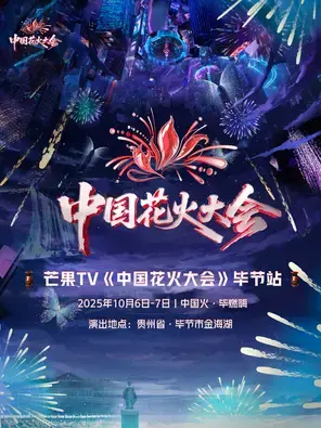 「大张伟/C-BLOCK/黄誉博」《中国花火大会》毕节站图片