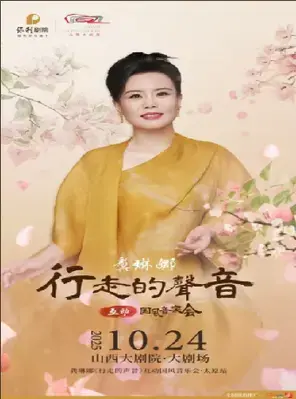 龚琳娜《行走的声音》互动国风音乐会 太原