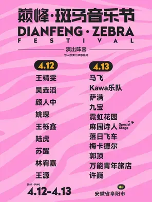 「王源/许巍/林宥嘉」2025巅峰·斑马音乐节图片