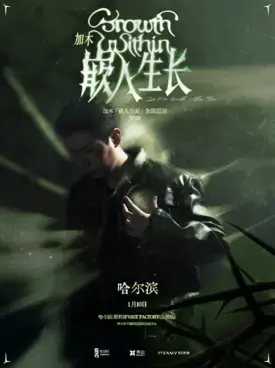 加木「嵌入生长」2025巡演 哈尔滨站