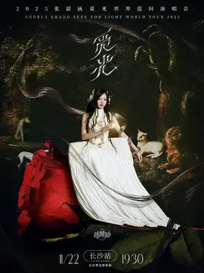 2025 张韶涵“觅光”巡回演唱会-长沙站