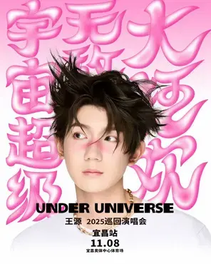 王源2025“宇宙超级无敌大狂欢”巡回演唱会--宜昌站图片