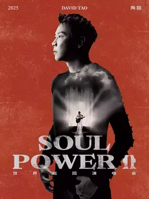 陶喆Soul Power II世界巡回演唱会 悉尼站图片