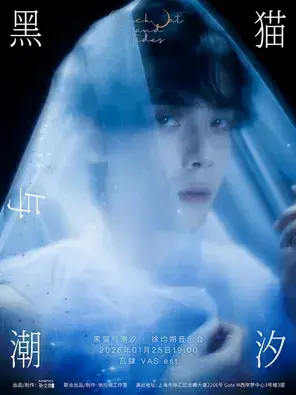 黑猫与潮汐 · 徐均朔音乐会 上海